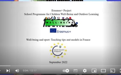 Well Being and sport : Teaching tips and models in France / CAH